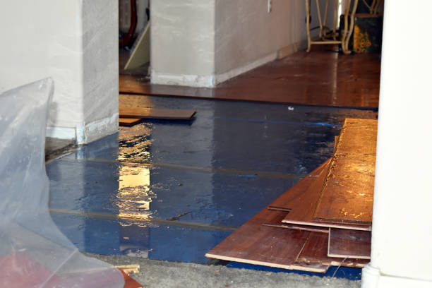 Professional Sewage Cleanup technician working in Columbus, MN